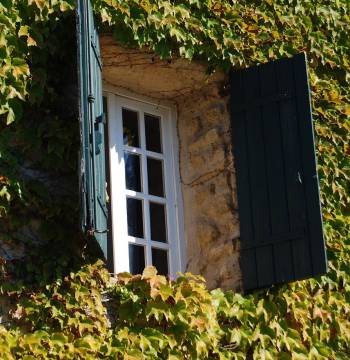 Best Openable Windows in Pakistan