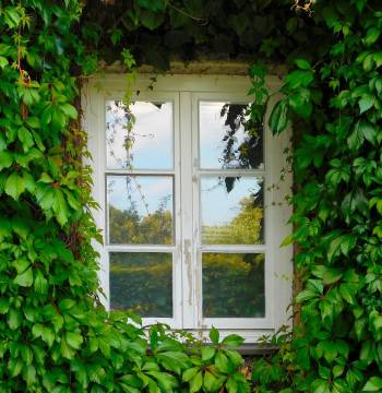 Openable Windows